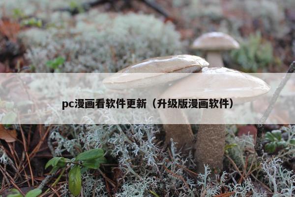 pc漫画看软件更新（升级版漫画软件）