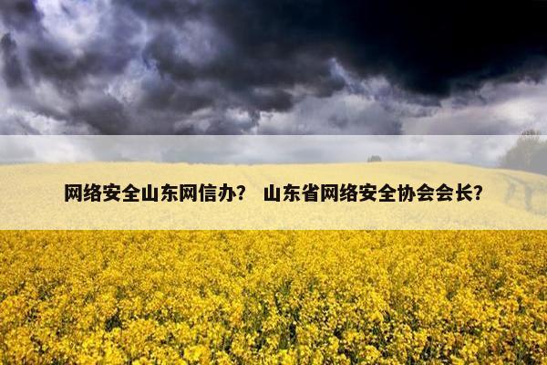 网络安全山东网信办？ 山东省网络安全协会会长？