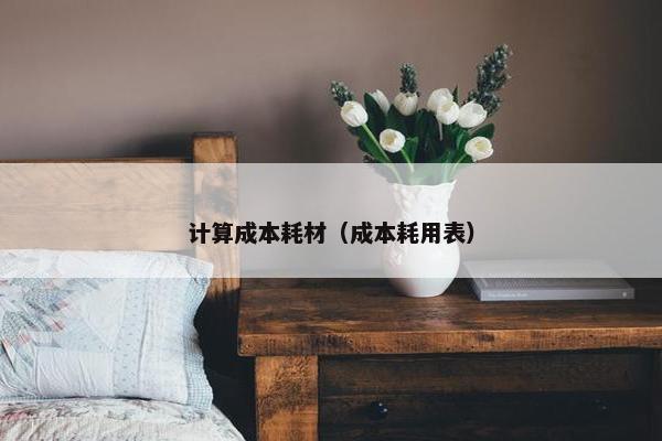 计算成本耗材（成本耗用表）