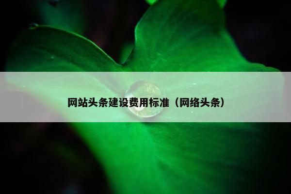 网站头条建设费用标准（网络头条）