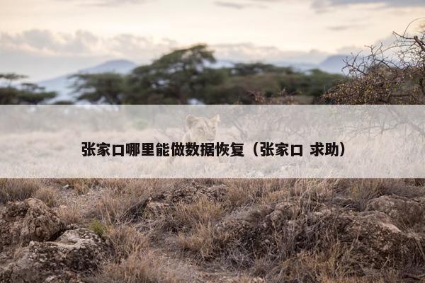 张家口哪里能做数据恢复（张家口 求助）