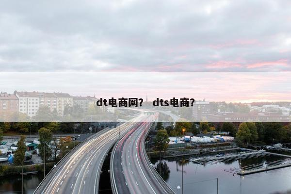 dt电商网？ dts电商？