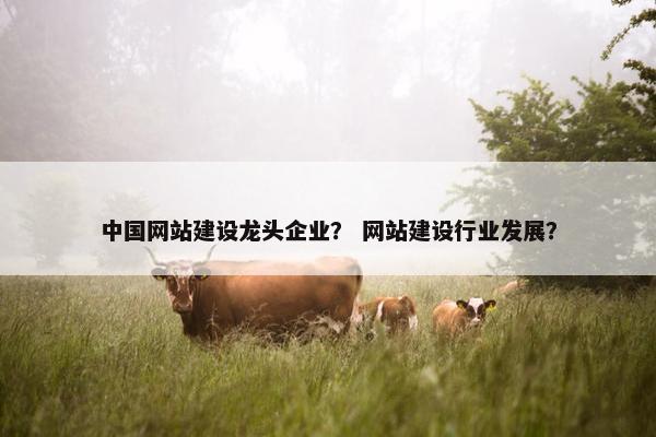 中国网站建设龙头企业？ 网站建设行业发展？