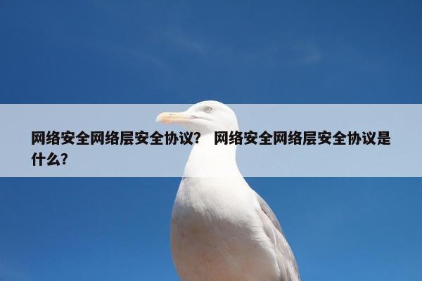 网络安全网络层安全协议？ 网络安全网络层安全协议是什么？
