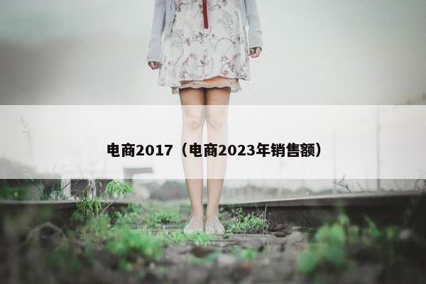 电商2017（电商2023年销售额）