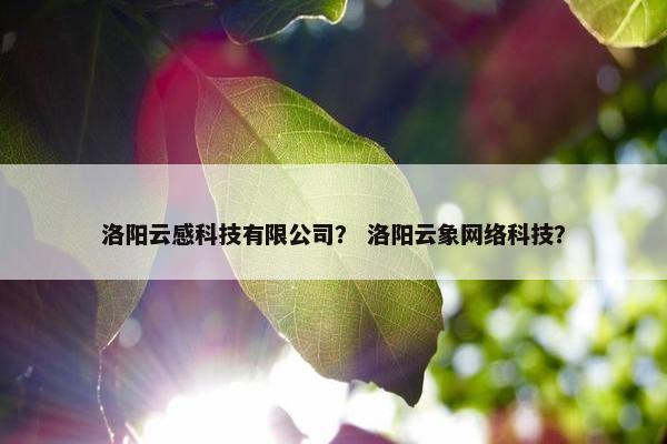 洛阳云感科技有限公司？ 洛阳云象网络科技？