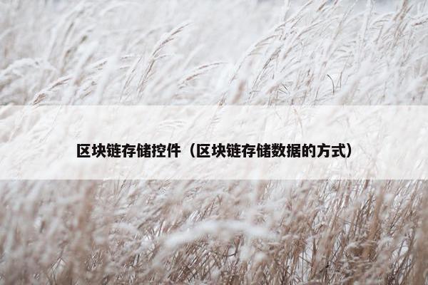 区块链存储控件（区块链存储数据的方式）