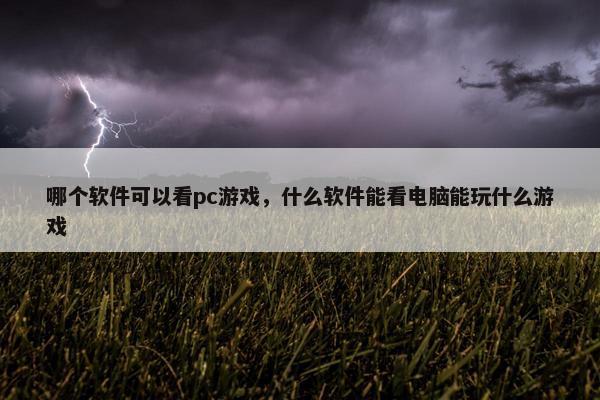 哪个软件可以看pc游戏，什么软件能看电脑能玩什么游戏