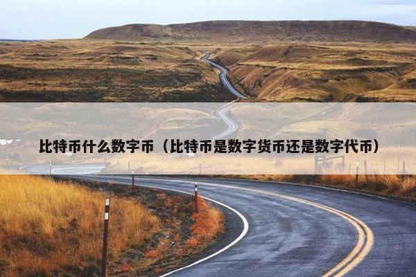 比特币什么数字币（比特币是数字货币还是数字代币）