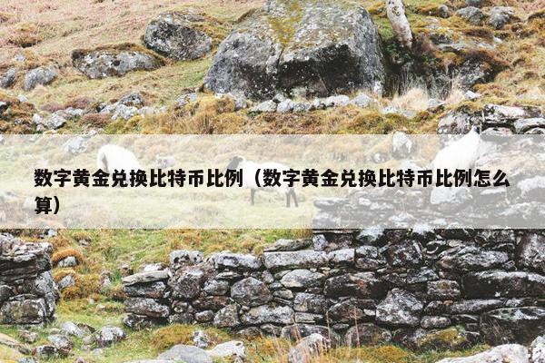 数字黄金兑换比特币比例（数字黄金兑换比特币比例怎么算）