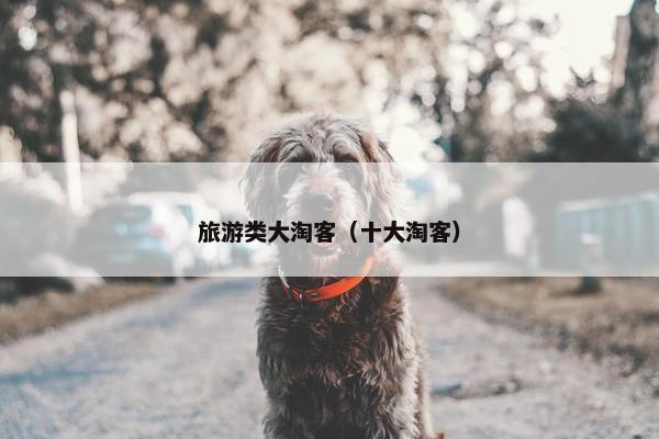 旅游类大淘客（十大淘客）