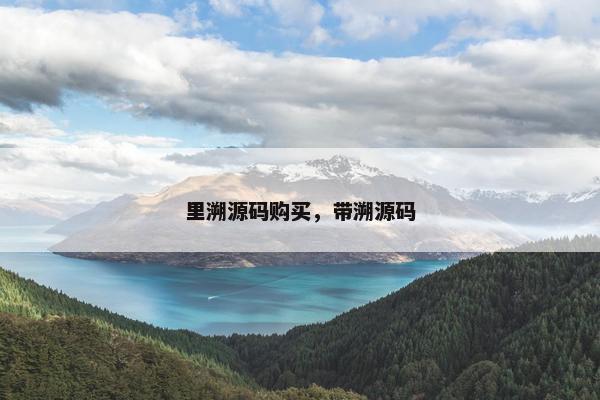 里溯源码购买，带溯源码