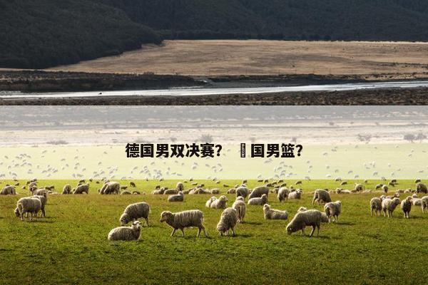 德国男双决赛？ 徳国男篮？
