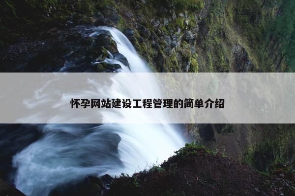 怀孕网站建设工程管理的简单介绍