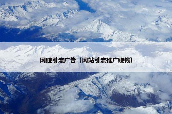 网赚引流广告（网站引流推广赚钱）