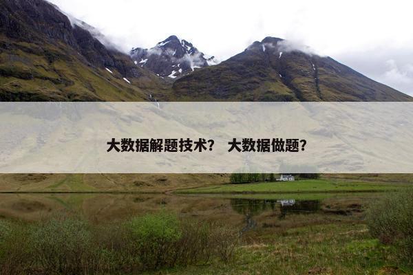 大数据解题技术？ 大数据做题？