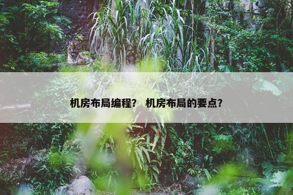 机房布局编程？ 机房布局的要点？