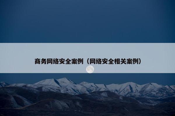 商务网络安全案例（网络安全相关案例）