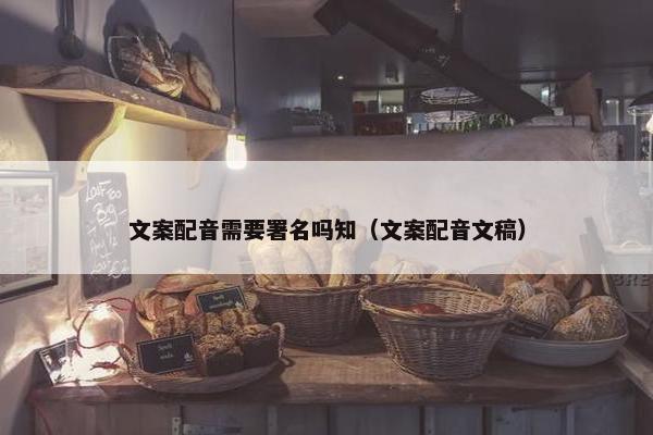 文案配音需要署名吗知（文案配音文稿）