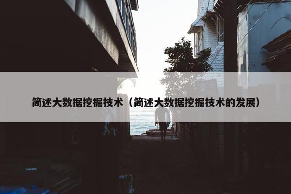 简述大数据挖掘技术（简述大数据挖掘技术的发展）