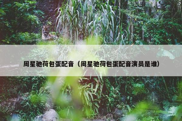 周星驰荷包蛋配音（周星驰荷包蛋配音演员是谁）