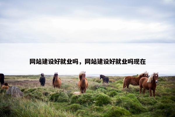 网站建设好就业吗，网站建设好就业吗现在