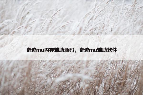 奇迹mu内存辅助源码，奇迹mu辅助软件