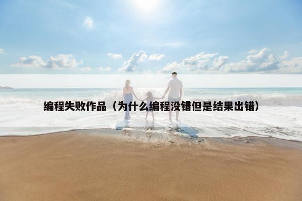 编程失败作品（为什么编程没错但是结果出错）