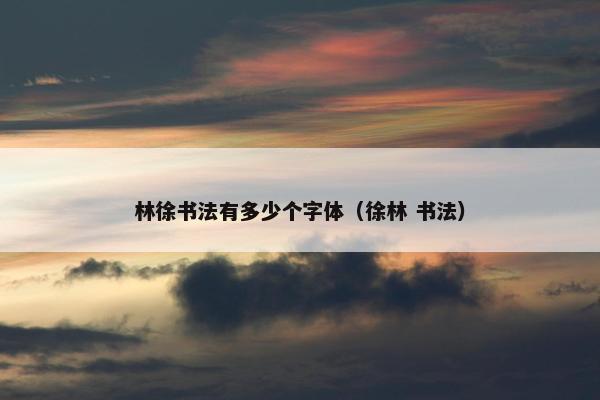 林徐书法有多少个字体（徐林 书法）