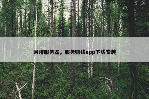 网赚服务器，服务赚钱app下载安装