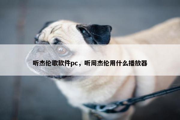 听杰伦歌软件pc，听周杰伦用什么播放器