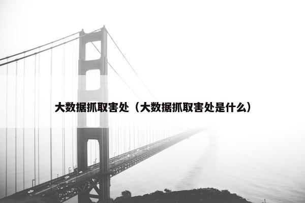 大数据抓取害处（大数据抓取害处是什么）
