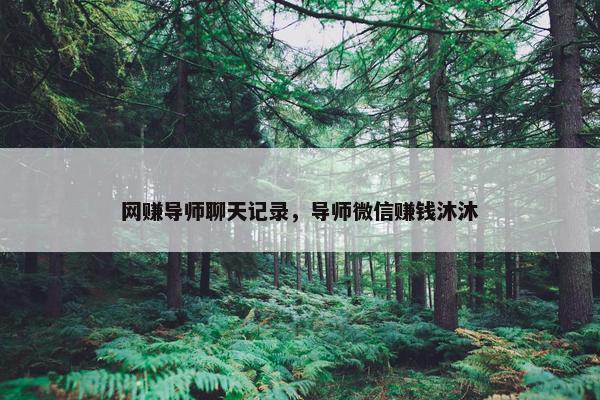 网赚导师聊天记录，导师微信赚钱沐沐