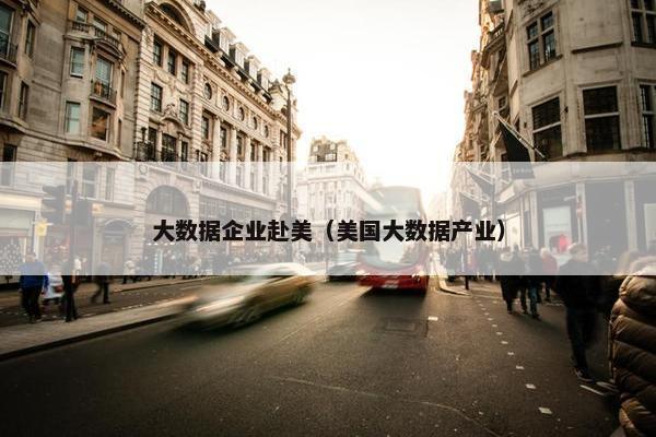 大数据企业赴美（美国大数据产业）