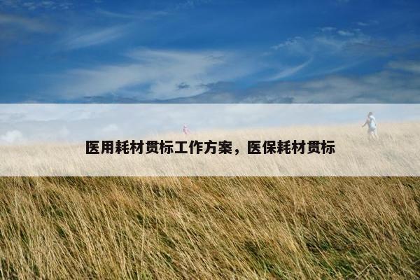 医用耗材贯标工作方案，医保耗材贯标