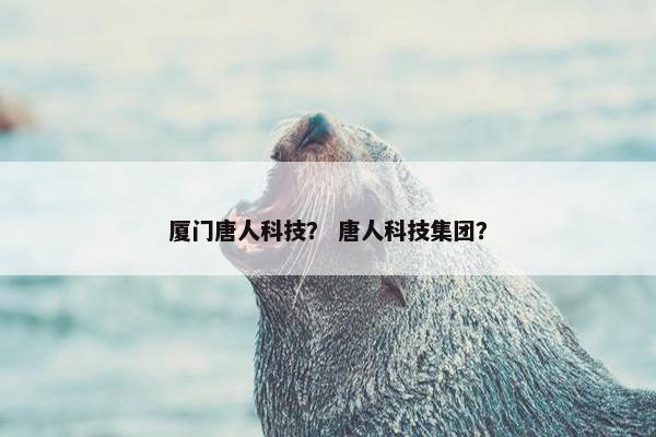 厦门唐人科技？ 唐人科技集团？