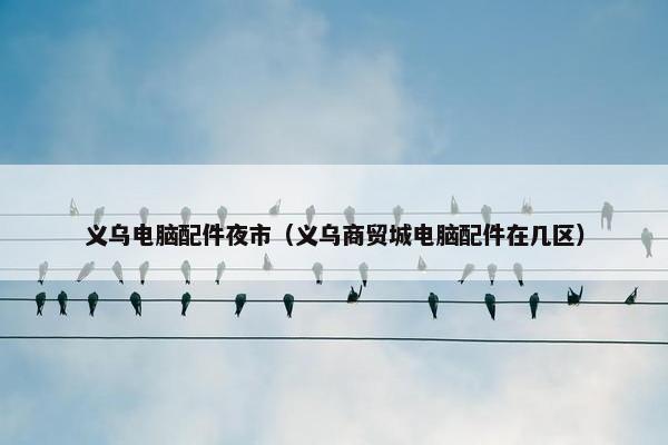 义乌电脑配件夜市（义乌商贸城电脑配件在几区）