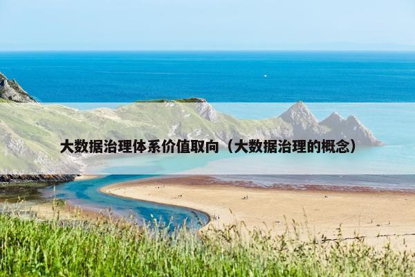 大数据治理体系价值取向（大数据治理的概念）