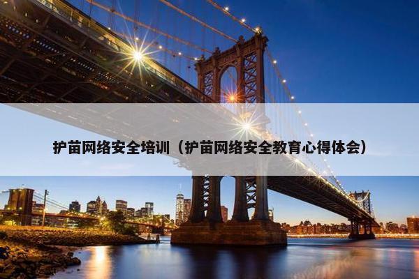 护苗网络安全培训（护苗网络安全教育心得体会）