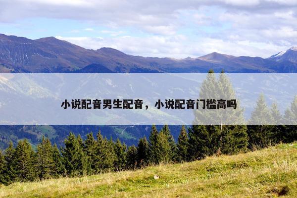 小说配音男生配音，小说配音门槛高吗