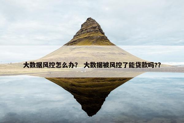大数据风控怎么办？ 大数据被风控了能贷款吗?？