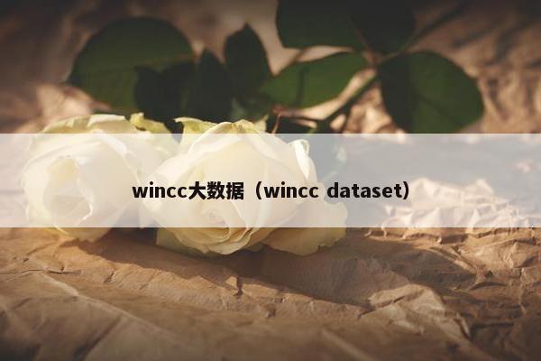 wincc大数据（wincc dataset）
