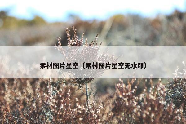 素材图片星空（素材图片星空无水印）
