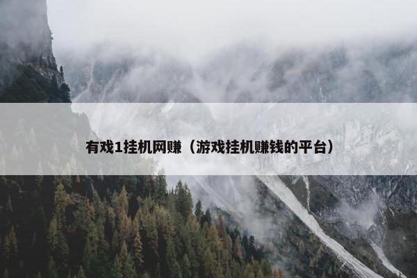 有戏1挂机网赚（游戏挂机赚钱的平台）