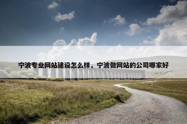宁波专业网站建设怎么样，宁波做网站的公司哪家好