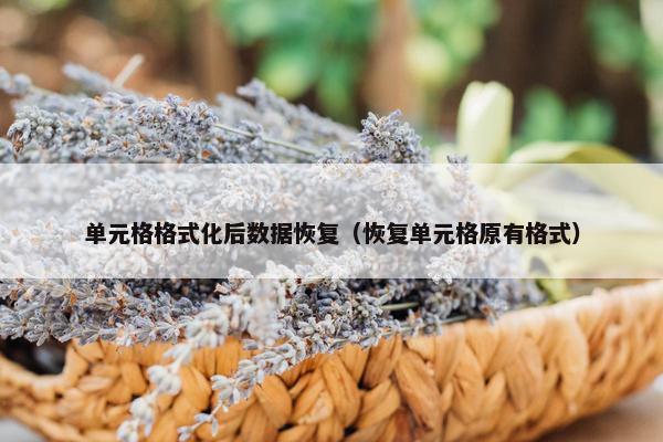 单元格格式化后数据恢复（恢复单元格原有格式）
