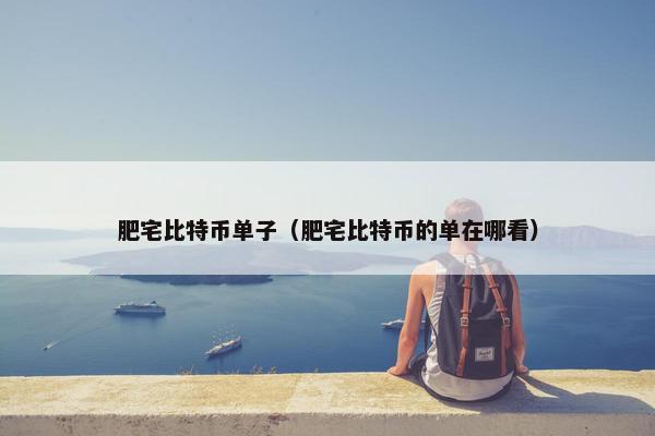 肥宅比特币单子（肥宅比特币的单在哪看）