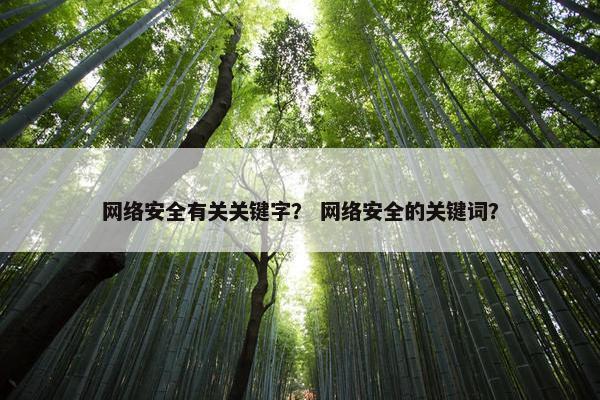 网络安全有关关键字？ 网络安全的关键词？