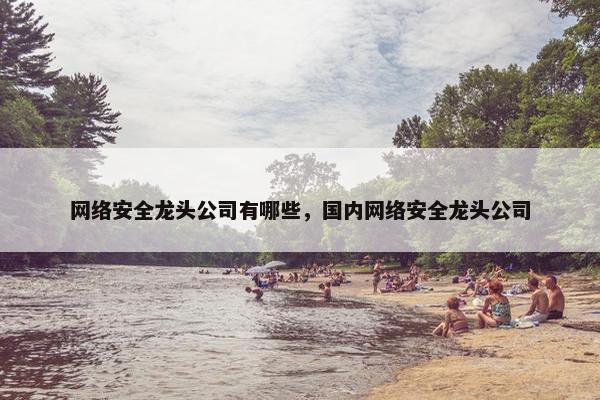 网络安全龙头公司有哪些，国内网络安全龙头公司