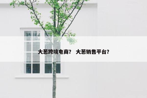 大葱跨境电商？ 大葱销售平台？